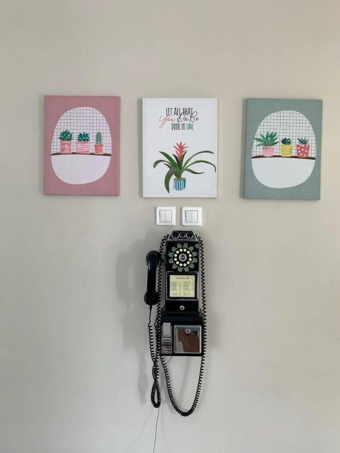 ホテル コットンウッド ベッド&ブレックファースト バンドゥン エクステリア 写真